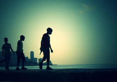 naturaleza-perro-ladrar